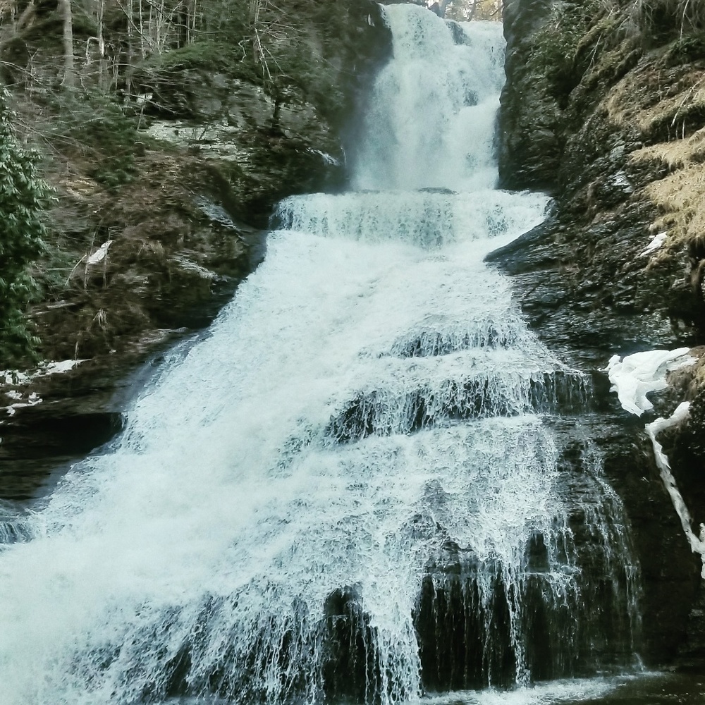 Meet your Posher, Mckenzie